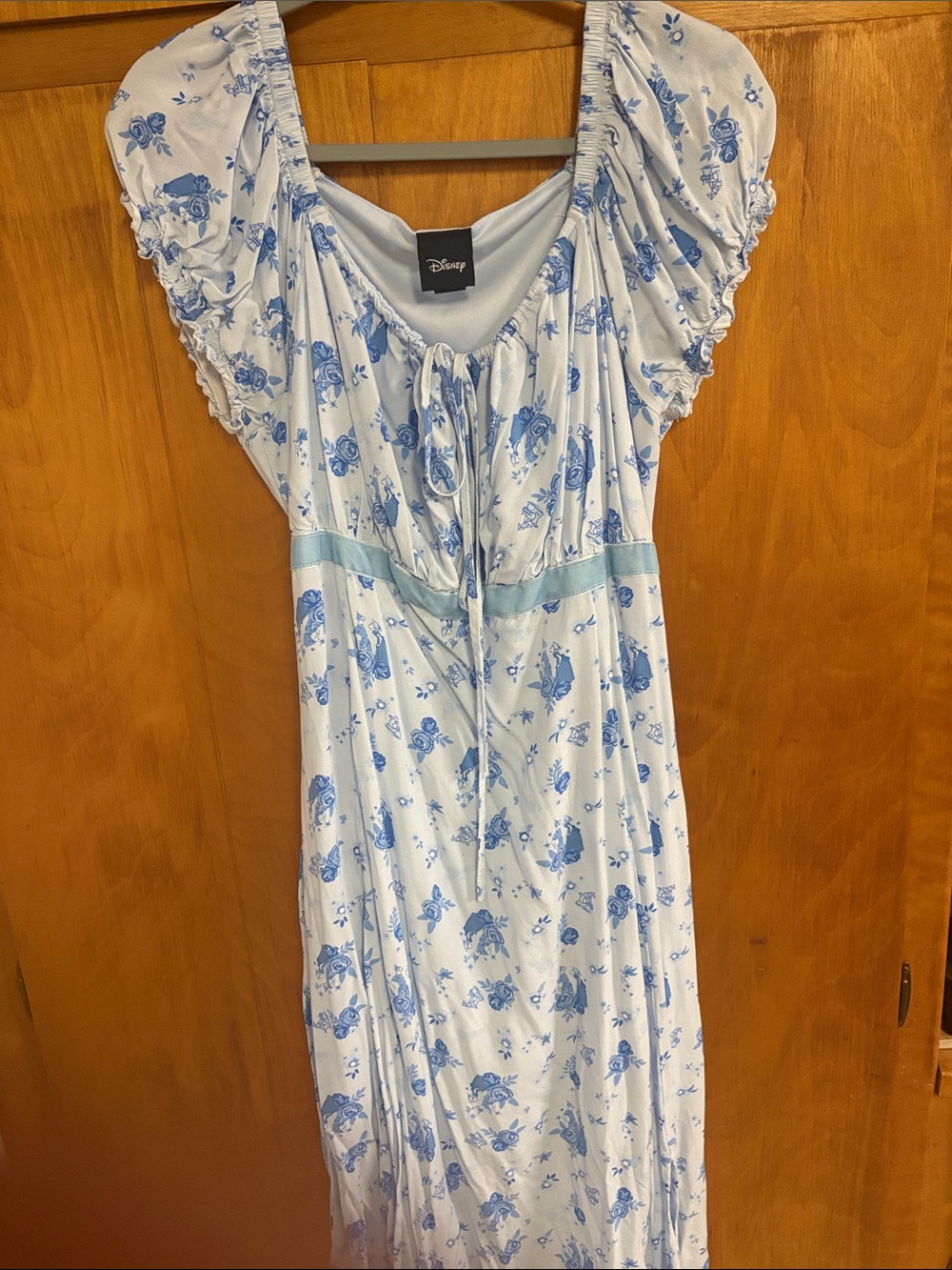 Disney Peter Pan and Wendy dress size 2x - Picture 4 of 5